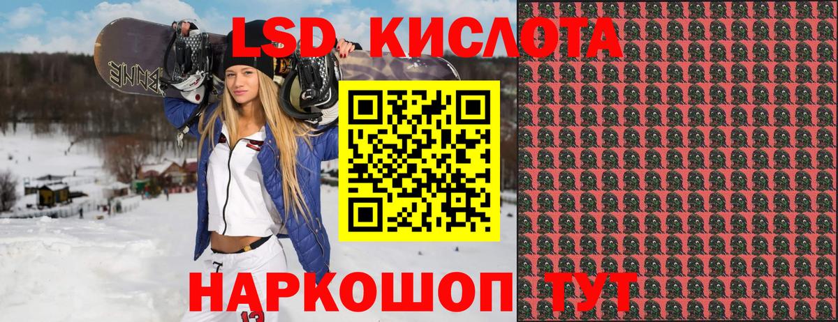 Галлюциногенные грибы Знаменск