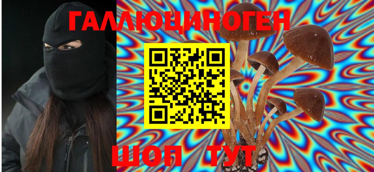 Знаменск  Галлюциногенные грибы мухоморы  Псилоцибиновые грибы MAGIC MUSHROOMS  Вход с VPN 
