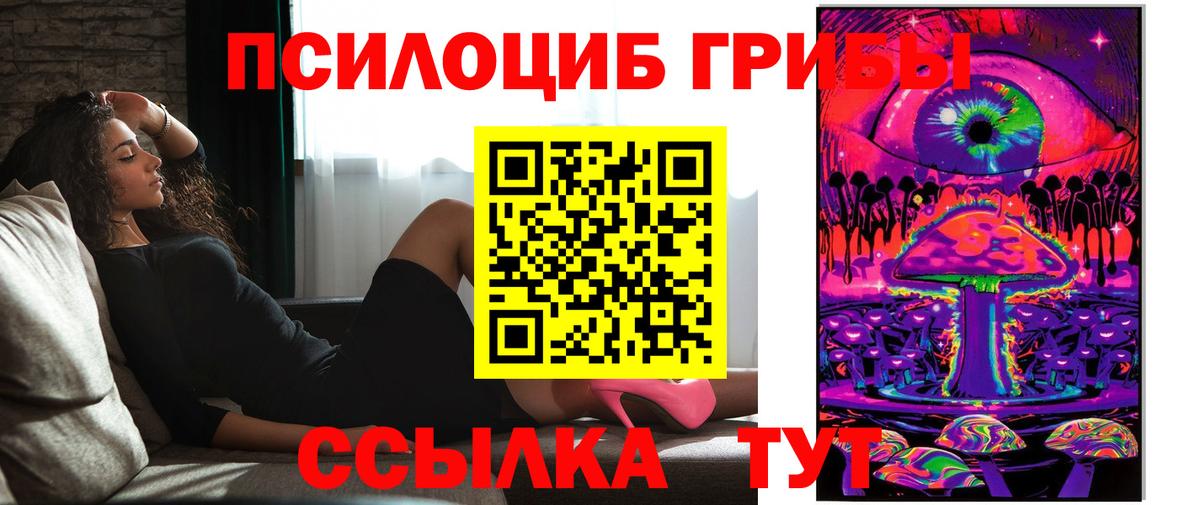 Галлюциногенные грибы Magic Shrooms Знаменск